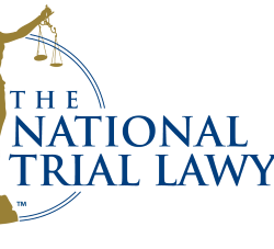 NTL logo main